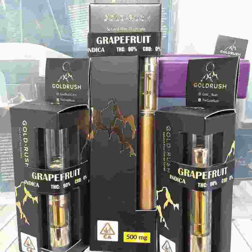golden-kus_1567682420avXuuy.jpeg